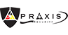 Praxis Colored Logo
